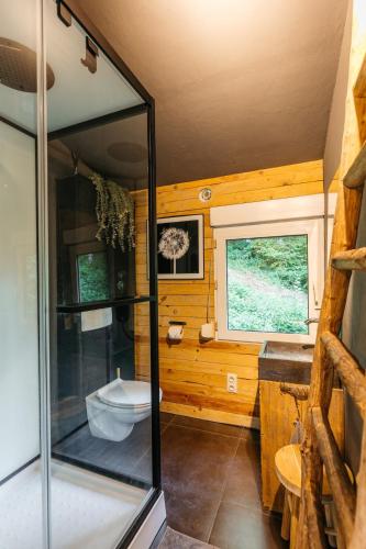 a small bathroom with a toilet and a sink at Le Chalet de l'Ours, jacuzzi and private sauna in Insemont