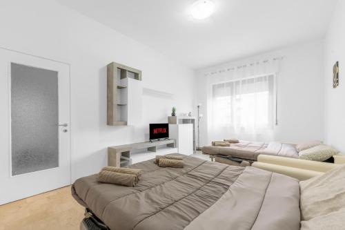 MA26 -San Siro- Large - New Apartment -