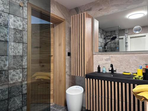 Un baño con lavabo y ducha en Luxury-Wellnessresidence- Altes Kapitänshaus, en Dranske