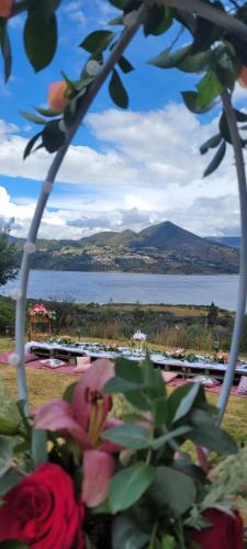 a view of a body of water with flowers at Villa Vista in Guatavita