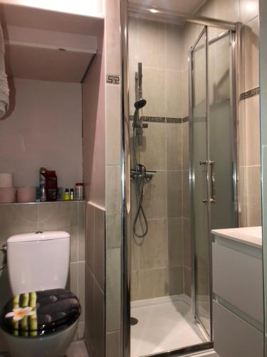 une salle de bain avec douche et WC avec porte vitrée dans l'établissement Mon Rêve, à Saint Cyprien Plage