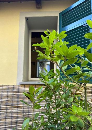 Galería fotográfica de Boutique Hotel Novecento en La Spezia