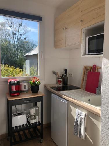 une cuisine avec un comptoir, un évier et une fenêtre dans l'établissement Studio en résidence avec parking, à Équemauville