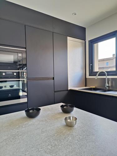 une cuisine avec 2 bols sur un comptoir de cuisine dans l'établissement Villa 8 pers, Piscine privée, proche mer, à Maureillas