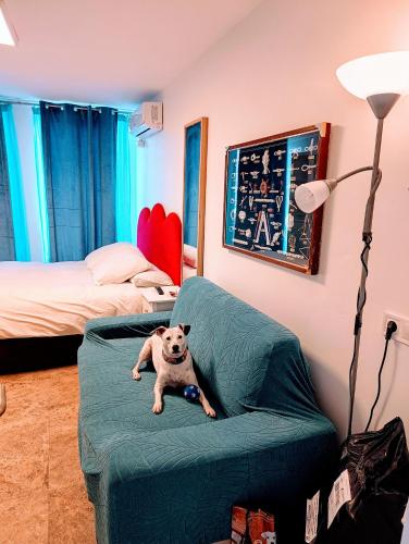 Postel nebo postele na pokoji v ubytování Hostal Estudios