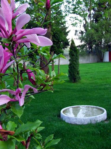 a pink flower bush and a pond in a yard at Hotel George in Nadarzyn