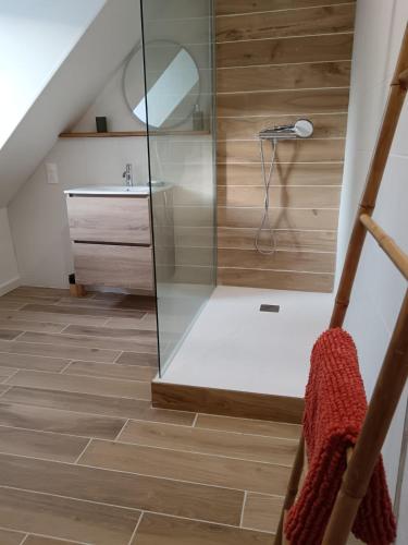 une salle de bain avec douche et lavabo dans l'établissement La parenthèse campagnarde, à Tannay