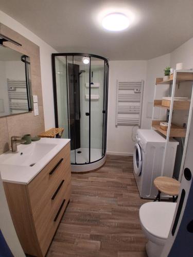 une salle de bain avec une douche, des toilettes et un lavabo dans l'établissement Grand Studio Mezzanine au calme dans l'hypercentre, à Rochefort