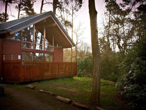 a small wooden cabin in the woods next to a tree at Strathyre, Ben Ledi Cabins - Forest Holidays in Callander