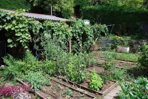 Ảnh trong thư viện ảnh của Nature Retreat next to Zurich ở Uster