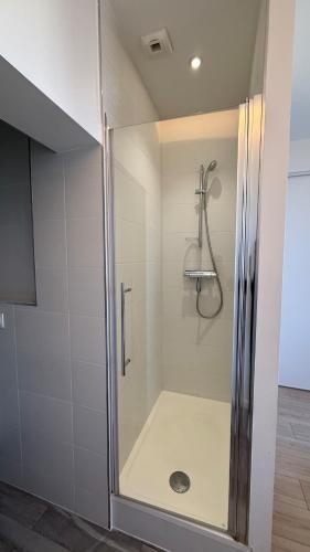 une douche avec une porte vitrée dans une salle de bain dans l'établissement Charme & Confort en Hyper Centre, à Metz