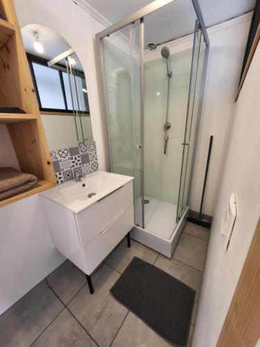 une salle de bain avec un lavabo et une douche dans l'établissement Studio Equipé La Glacerie, à Cherbourg en Cotentin