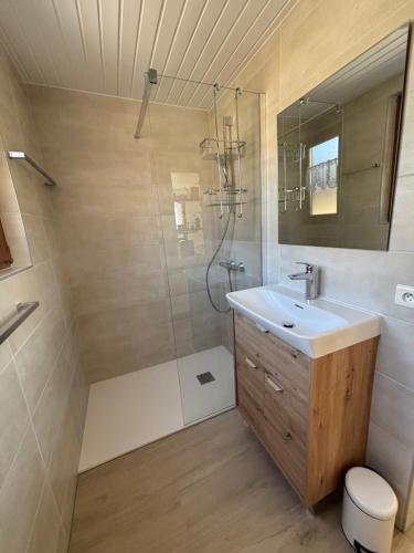 une salle de bain avec un lavabo et une douche dans l'établissement La Chouette, à Wentzwiller