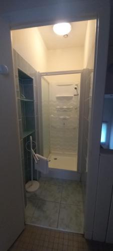 a bathroom with a shower and a toilet in it at La Vie Autrement - Maison à la campagne in Claracq