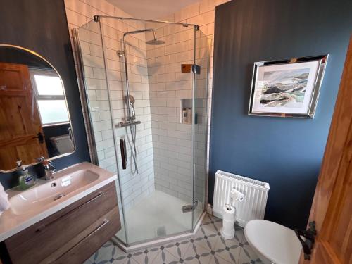 a bathroom with a shower and a sink at An Teach Bábóige - The Doll house - Kildare in Kildare