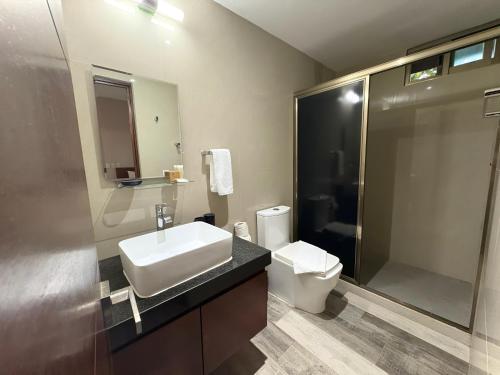ein Badezimmer mit Waschbecken, Toilette und Dusche in der Unterkunft Hotel Piedra del Caribe Puerto Morelos in Puerto Morelos