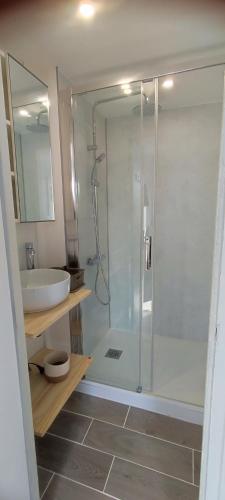 une salle de bain avec douche et lavabo dans l'établissement Victoria's Place, à Veules-les-Roses