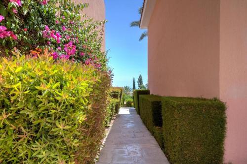 a garden path next to a building with pink flowers at Lia's Gardens in Peyia