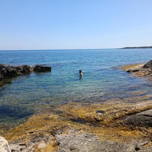 Φυσικό τοπίο κοντά σε αυτή η βίλα