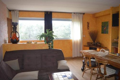 un salon avec un canapé et une table dans l'établissement Appart 2 pièces 4 couchages BANYULS SUR MER BN100-202, à Banyuls-sur-Mer