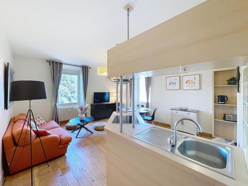 une cuisine avec un évier et un salon dans l'établissement Le Cocon de Colmyr - Vue sur le lac - Parking privé, à Annecy