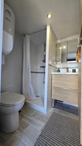 een badkamer met toilet, douche en wastafel bij Studio L'escale Chalonnaise in Châtenoy-le-Royal