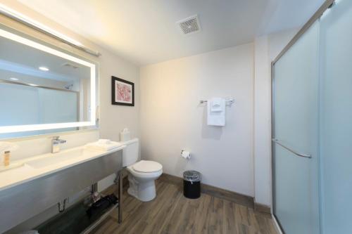 a bathroom with a toilet and a sink and a shower at Holiday Inn Brookfield - Milwaukee by IHG in Brookfield