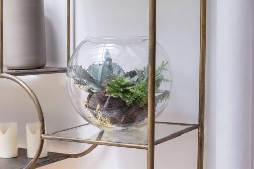 un vase en verre avec une plante sur une étagère dans l'établissement Haut Marais - My Veranda, à Paris