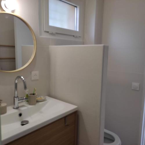 une salle de bain avec un lavabo et un miroir dans l'établissement La pinede a 1km de la plage, à Saint-Mandrier-sur-Mer