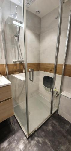 une douche avec une porte vitrée dans une salle de bain dans l'établissement La grange des Blancs, à Mouxy