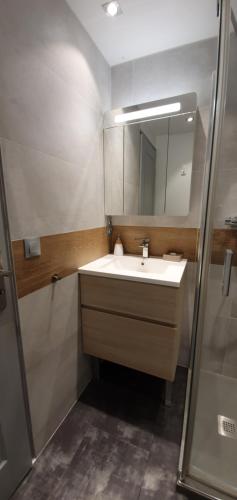 une salle de bain avec un lavabo et un miroir dans l'établissement La grange des Blancs, à Mouxy