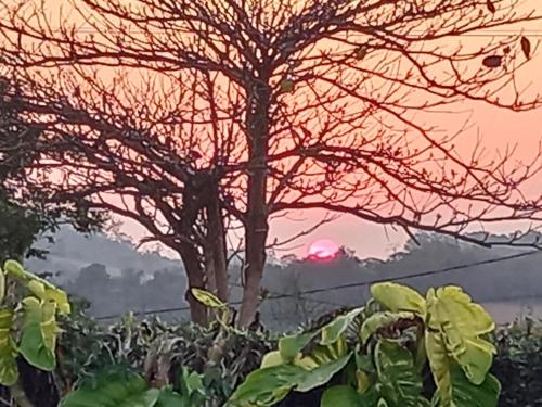 Matahari terbit atau terbenam yang dilihat dari rumah percutian atau berdekatan