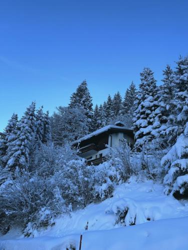 a cabin in the woods covered in snow at Chalet Dagmar in Klosters