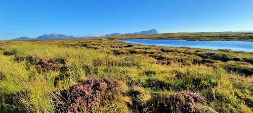 a field of grass with a lake in the background at Sangobeag in Durness