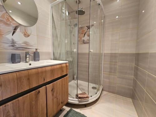 a bathroom with a shower and a sink at Prostorný apartmán v centru - Wi-Fi, Netflix in Hradec Králové