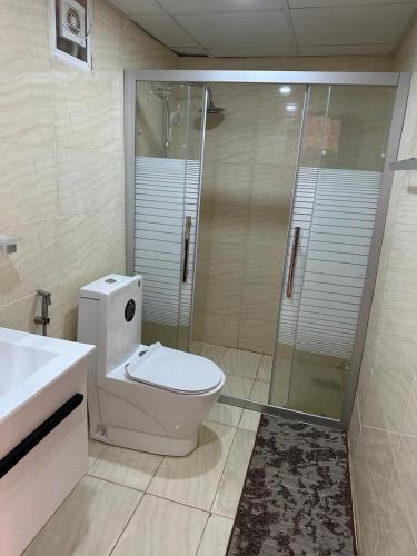 a bathroom with a shower and a toilet and a sink at Nara Wadi RUM Camp in Wadi Rum