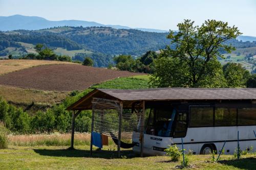 a bus parked in a field with a roof at La Busuri Camp in Roşia