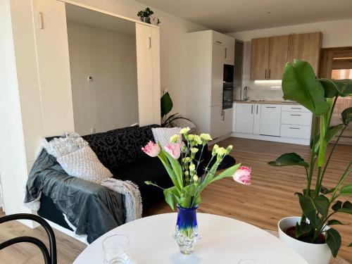 APARTMENT Blue Heaven