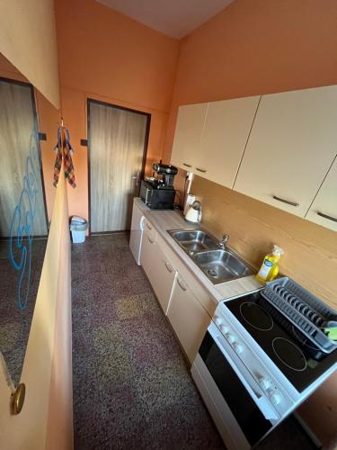 a small kitchen with a stove and a sink at Penzion Fajn Klub in Dolní Poustevna