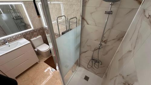 a bathroom with a shower and a toilet and a sink at San Sebastián 22 in Torrevieja