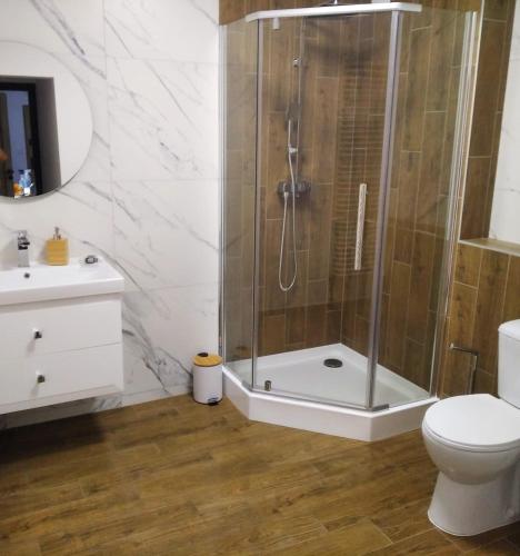 a bathroom with a shower with a toilet and a sink at Apartament blisko Parku i Granicy PL-DE in Łęknica