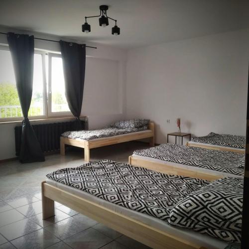 a bedroom with two beds and a window at Apartament blisko Parku i Granicy PL-DE in Łęknica