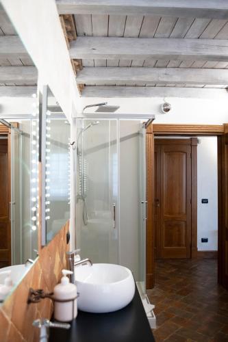 a bathroom with a sink and a shower at Villa Domus Petra in Zagarolo