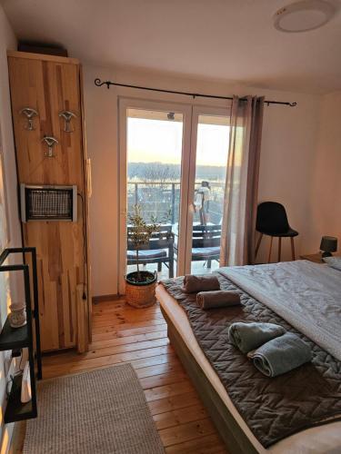 a bedroom with a bed and a large window at Honey Spa house in Novi Slankamen