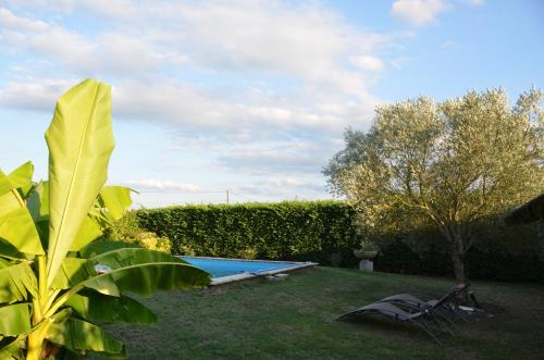 a swimming pool in a yard with a hedge at Château la Renommée in Saint-Laurent-des-Combes