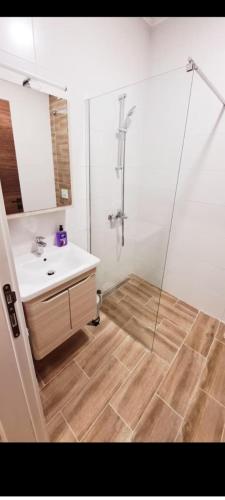 a bathroom with a shower and a sink and a mirror at Stunning view apartment Bijela in Bijela