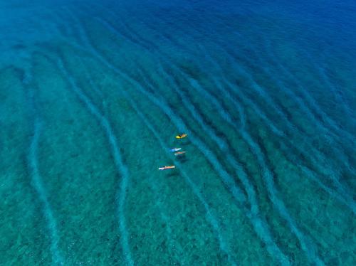 Imagen de la galería de The Zen Den, en Thulusdhoo