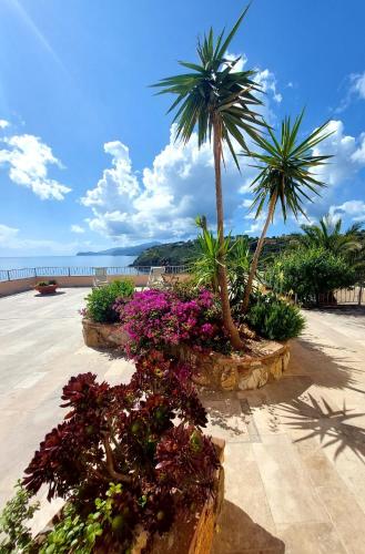a row of flowers and palm trees on a beach at Rosa dei Venti in Capoliveri