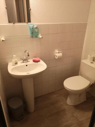 une salle de bain avec un lavabo et des toilettes dans l'établissement Maison séparée en deux appartements distincts, à Avignon