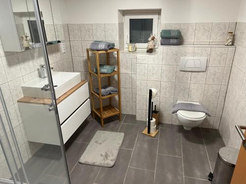 a bathroom with a shower and a sink and a toilet at Apart Steffi in Fliess